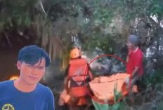 Tim SAR Akhirnya Temukan Korban Diterkam Buaya di Banyuasin, Mengapung 2 Km dari Lokasi Hilang