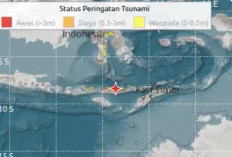 Gempa M7,7 Guncang Nagekeo NTT, Tsunami Terdeteksi di Sejumlah Wilayah
