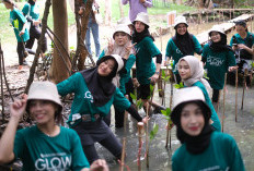 Kampanye #WomenwithValue, Kaum Hawa Jaga Lingkungan dengan Tanam Bibit Mangrove di Pesisir Jakarta