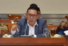 Suahasil Nazara Gantikan Purbaya, DPR Ungkap Hal yang Harus Segera Dibenahi