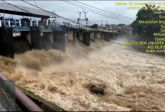 Waspada Banjir! Bendung Katulampa Siaga 3, 28 Kelurahan di Jakarta Berpotensi Terendam