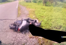 Anggota TNI Tewas Ditembak Gerombolan OPM di Yahukimo, Pelaku Diburu!