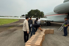 Sinyal Kuat hingga Ujung Negeri: Presiden Prabowo Pastikan Internet Lancar di Pulau Miangas
