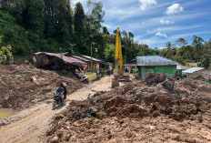 Netizen Ramai Usul Patungan Beli Hutan, Ini Prosedur Resmi Menurut Regulasi Indonesia