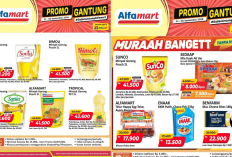 Promo JSM Alfamart Terbaru 4-6 September 2026, Diskon Mie Instan-Minyak Goreng Mulai Rp8 Ribuan
