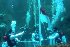 Sea World Ancol Gelar Pengibaran Bendera Merah Putih di Aquarium Sambut HUT ke-79 RI