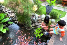 6 Rekomendasi Resto Keluarga di Bekasi yang Nyaman, Enak, dan Kids Friendly!