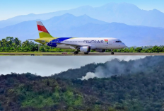 Pesawat Pelita Air Service Jatuh di Nunukan Saat Angkut BBM!