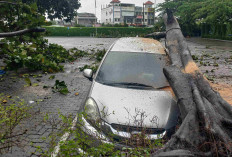 Mobil Honda Mobilio Tertimpa Pohon Tumbang di Tangerang, Segini Harga Pasarnya