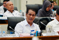 Stok Pangan Terjaga, Bapanas Sebut Realisasi Program SPHP Beras Tembus Ribuan Ton