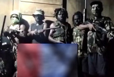 KKB Kembali Eksekusi Warga di Yahukimo Papua: Kalau Mau Cari, Kami di Markas