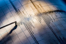 Gempa M6.7 Guncang Honsu Jepang, Layanan Kereta Cepat Sempat Terganggu
