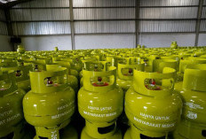 Pertamina Gelontorkan 256 Ribu Tabung LPG 3 Kg di Sulsel Sambut Idul Adha