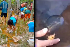 Emas Hingga Solar Ditemukan Warga Korban Bencana Aceh