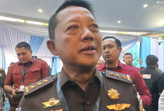 Peneliti Pukat UGM Tanggapi Kasus Febrie, Ungkap Fenomena Corruptor Fight Back