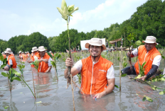 Tangani Banjir Rob, Restorasi Ekosistem Pesisir Muara Gembong dengan Pohon Mangrove 