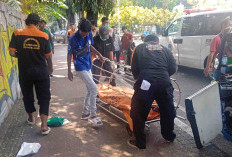 Sopir Bajaj Meninggal di Sawah Besar dengan Kondisi Mulut Berlumur Darah, Saksi: Tidur Gak Bangun-Bangun   