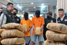 Polisi Bongkar Peredaran Narkoba Jaringan Aceh dengan Modus Koper Pakaian, 75 Kg Ganja Disita