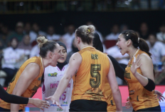 Link Live Streaming Final Four Proliga 2025 Jakarta Popsivo Polwan vs Jakarta Electric PLN Hari ini, Kick Off Pukul 16.00 WIB