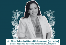 Sosok Dokter Icha Pakaenoni yang Diduga Meninggal usai Kena Intimidasi Anggota DPRD