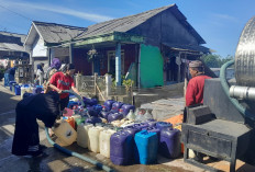 Semarang dan Pasuruan Dilanda Kekeringan, Kebutuhan Air Andalkan Bantuan