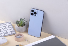 Harga iPhone iBox Juli 2026 Turun! iPhone 15, iPhone 16 hingga iPhone 17 Diskon Sampai Rp3 Juta