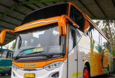 Jelang Perayaan Nataru, Tiket Bus AKAP Naik Rp 20-50 Ribu di Terminal Poris Tangerang