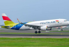 Ada Promo! Tiket Pesawat Pelita Air Diskon 45 Persen, Cek Periode Terbang dan Cara Belinya