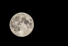 Kapan Pink Moon 2026 Terjadi di Indonesia? Fenomena Astronomi Bulan Berwarna Merah