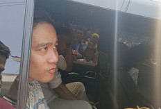 Gibran Dukung Kaesang Maju Pilkada Jakarta: Lagi Semangat-Semangatnya!