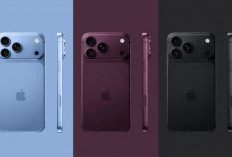 Terungkap Perbedaan iPhone 18 Pro dan Pro Max, Modem 5G Jadi Pembeda?