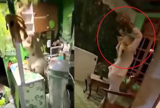 Video Viral Istri Sah Hancurkan Isi Rumah Wanita Diduga Selingkuhan Suaminya di Sulawesi Utara