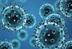 Covid-19 Varian Cicada Meluas, Gejalanya Ada Diare Selain Demam Pilek dan Sesak