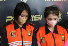 2 Host Konten Pornografi Aplikasi Dream Live Ditangkap Polisi