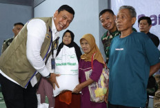 BULOG Optimalkan 2 Jurus Penugasan Pemerintah untuk Kendalikan Harga Beras