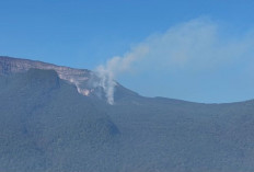 Kemenhut Berhasil Padamkan Kebakaran Gunung Gede Pangrango, Jalur Pendakian Tutup Sementara