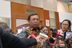 Soal Polemik Rombongan Keluarga Menteri PU ke AS, Sekjen Demokrat: Tak Ada Unsur Melawan Aturan