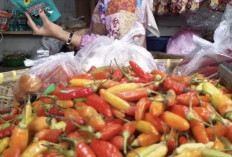 Jelang Idul Adha Harga Cabai Rawit Tembus Rp80 Ribu, Bawang Merah Rp54 Ribu per Kg
