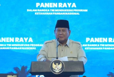 Prabowo Singgung Indonesia Gelap: Kalau Pakai Kacamata Gelap, Ya Gelap Terus!