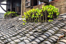 Intip Kelebihan dan Kekurangan Atap Genteng vs Seng, Mana yang Lebih Unggul?