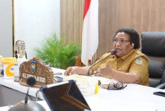26 Pemda Papua Belum Cairkan Dana Otsus Tahap II, Wamendagri Ribka Tagih Komitmen