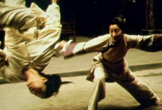 Sinopsis Film Crouching Tiger, Hidden Dragon di Bioskop Trans TV Hari Ini 11 Oktober 2024