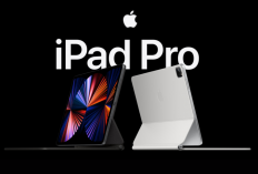 Cocok Buat Mahasiswa! Nih Simulasi Kredit Cicilan iPad Pro M1 di iBox, Tenor 24 Bulan Cuma Bayar Rp967 Ribu