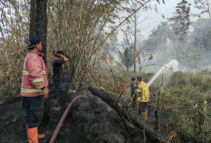 Karhutla Terjadi di Jateng, 8,7 Hektare Lahan Ludes Dilalap Api
