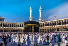 Pelunasan Biaya Haji 2026 Baru Masuk 8,8 Persen, Komnas Haji Sentil Kemenhaj Soal IT dan Sosialisasi