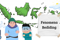Apa Itu Fenomena Bediding yang Melanda Indonesia? Ini Penjelasan dari BMKG