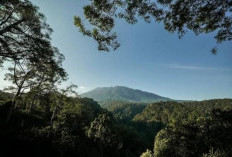 EIGER Nature Dapat Apresiasi atas Komitmen Pelestarian Lingkungan