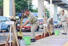 Teguh Setyabudi Tanam 136 Pohon Tabebuya di Jakarta Selatan