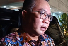 BRIN Sulap Limbah Kelapa Sawit Jadi Energi Listrik 3,9 GW, Berpotensi Kurangi Impor LPG Rp97 Triliun