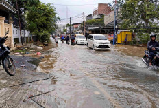 127 RT di Jakarta Masih Kebanjiran, Terparah di Jaktim Ketinggian Air Sampai 1,5 Meter 